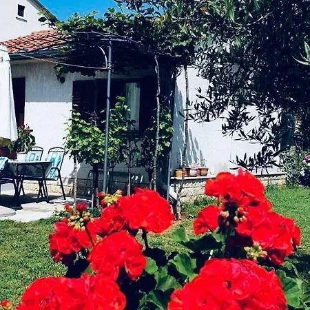 Benassi Apartman